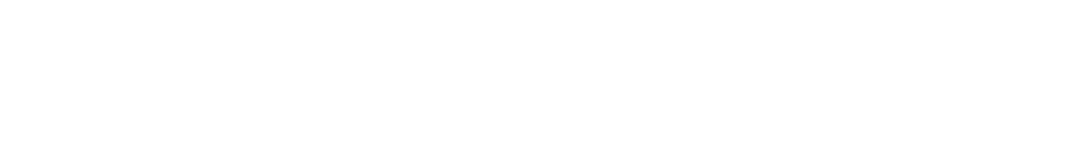 Enbw Logo