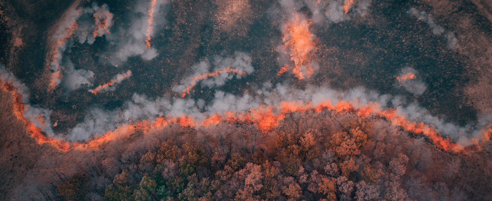 Satellitenbild Waldbrand