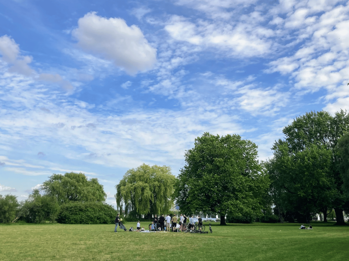 Das Ubilabs-Team hat im Sommer 2023 ein Picknick an der Alster gemacht.