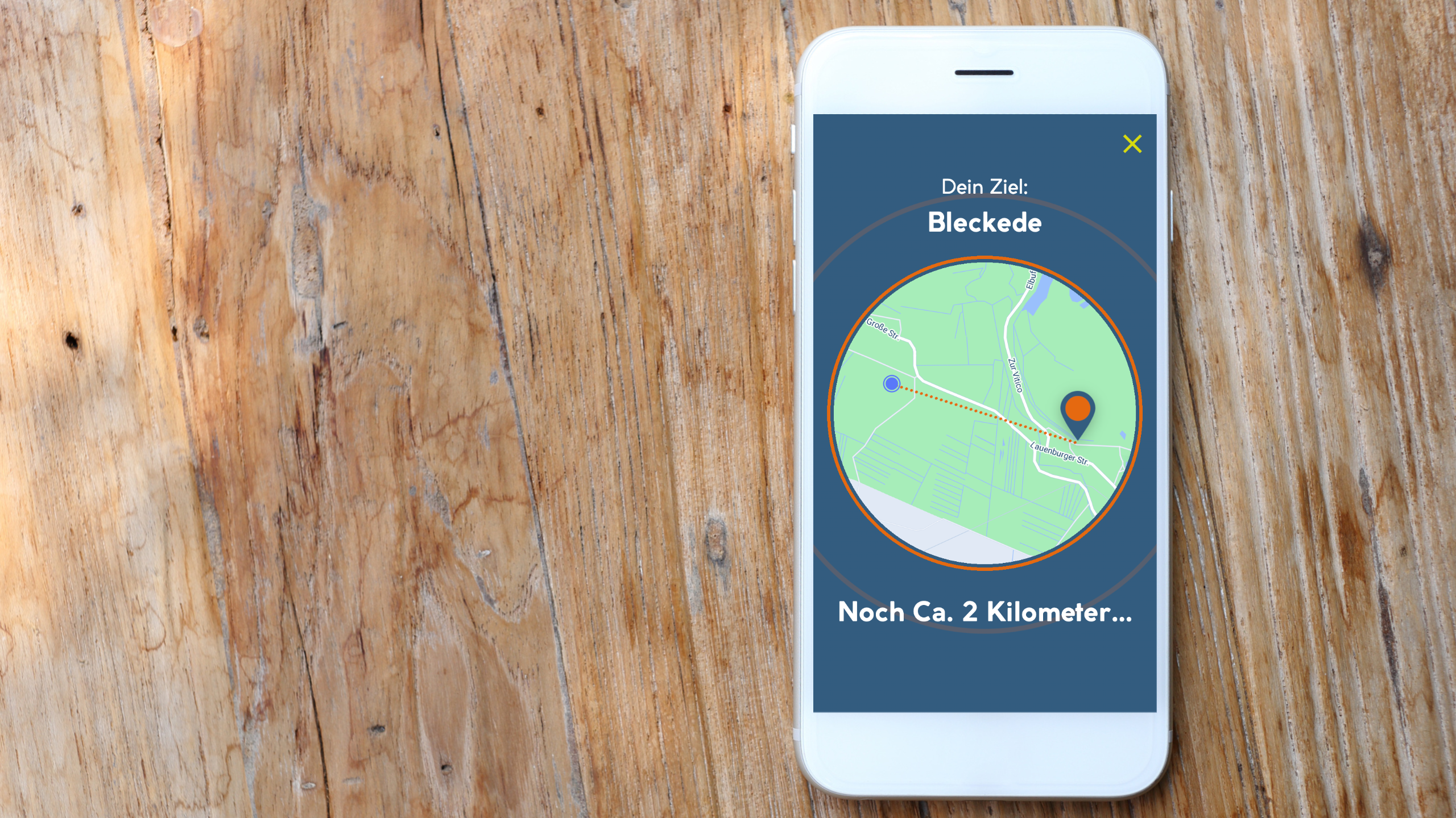 Location displayed in the web app