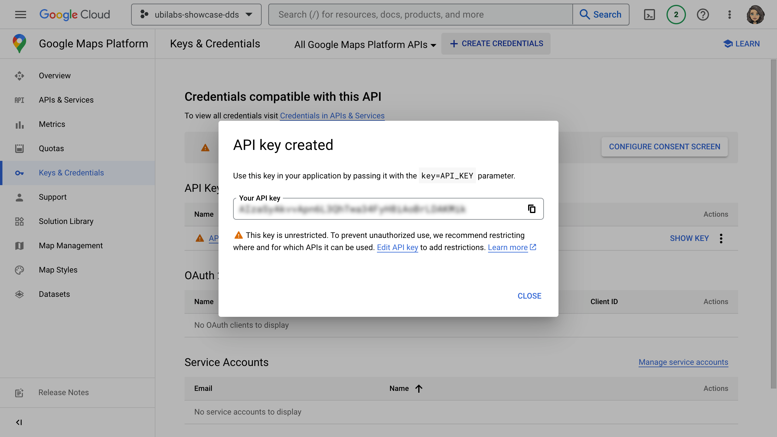 Ansicht der Konsole nach erfolgreicher Erstellung des API Keys