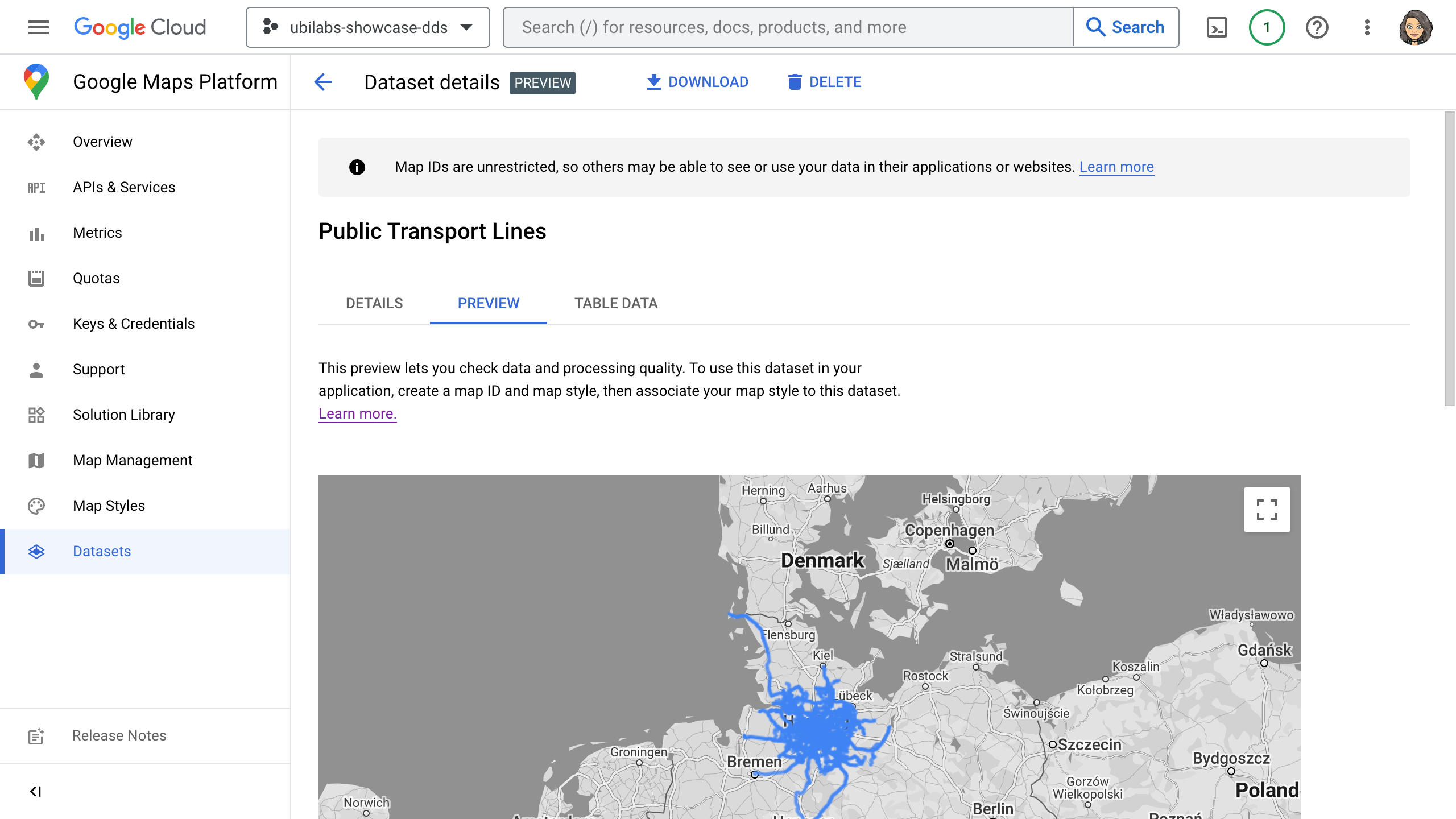 Preview der Darstellung eines Datensatzes