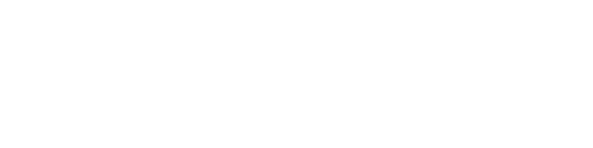 Continental Logo weiß